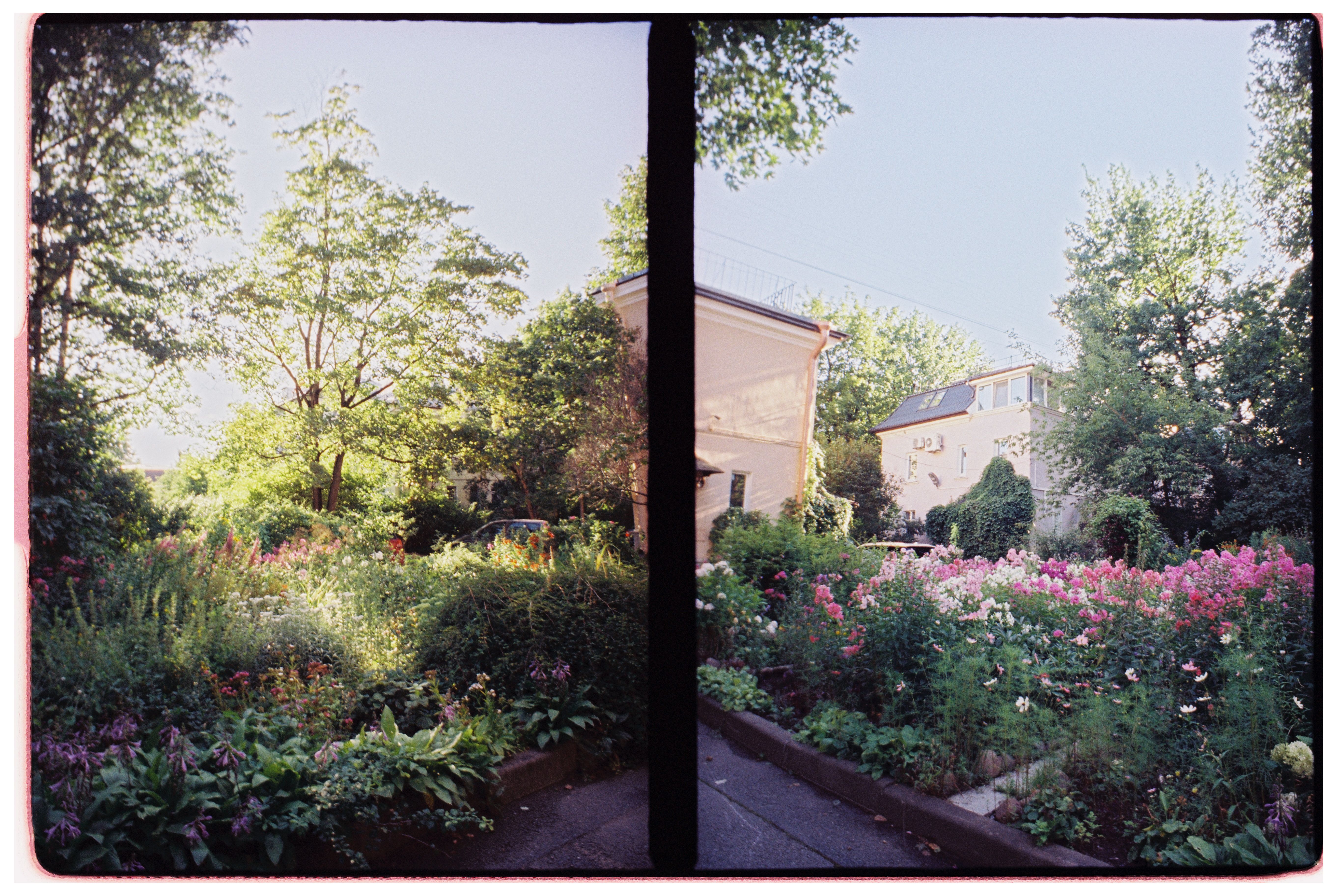Tuin met natuurlijke beplanting